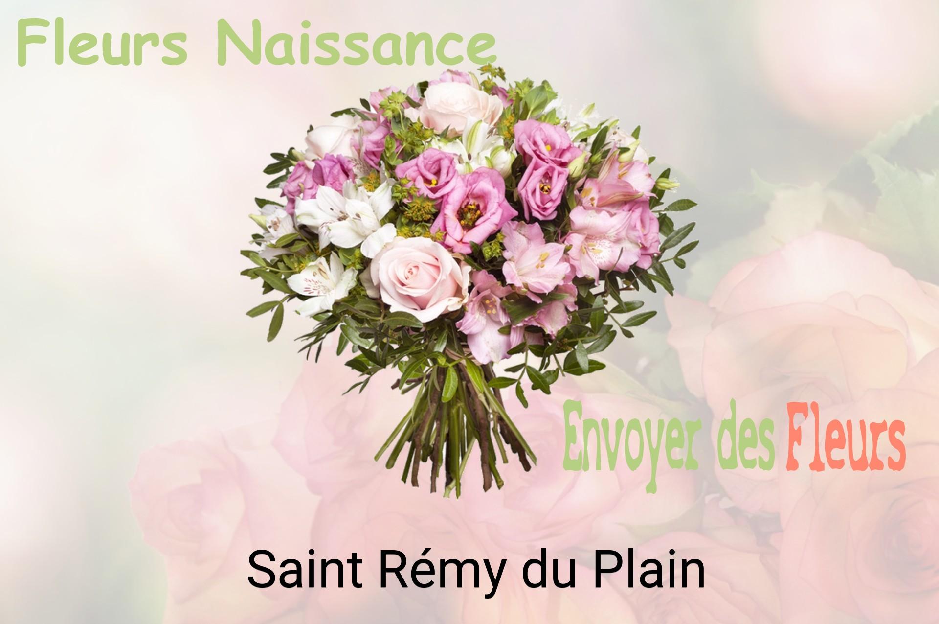 Bouquet de fleurs de naissance livré à Saint-Rémy-du-Plain